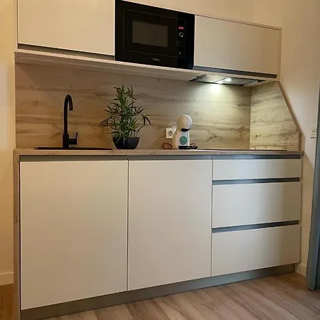 Apartment Cozy Loft Centre Ii
